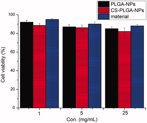 Figure 7. MTT assay evaluation of cytotoxicity after 2 h of incubation with PLGA polymer, blank PLGA-NPs, and blank CS-PLGA-NPs.