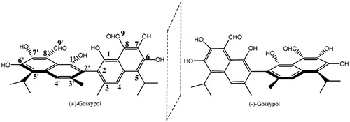 Figure 3. Structure of gossypol enantiomers.