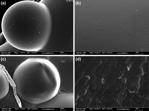 Figure 6. SEM micrographs at 1300 and 30,000 magnifications of the empty CS-g-PAAm-MC microspheres (a and b) and at 1050 and 30,000 magnifications of the IBU-loaded CS-g-PAAm-MC microspheres (c and d).