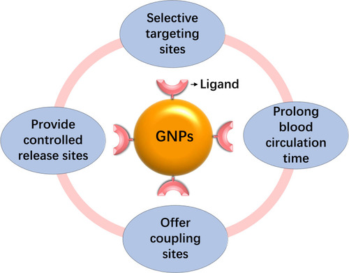 Figure 1 The application advantages of functionalized GNPs.