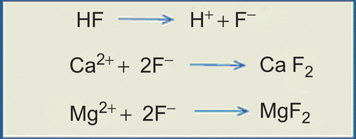 Figure 1.  Chemical reactions between fluoride ions and calcium/magnesium.