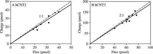 Figure 5.  Adenosine coupling ratios of hCNT2 and hCNT3. Charge to 14C-adenosine uptake ratio plots were generated at a membrane potential of −90 mV in Na+-containing transport media (100 mM NaCl, pH 8.5) in hCNT2- (A, n=8) and hCNT3- (B, n=10) producing oocytes. The time of exposure of oocytes to 14C-adenosine (200 µM) was 2 min. Integration of the adenosine-evoked current was used to calculate the net cation influx (charge) and was correlated to the net 14C-adenosine influx (flux). Linear regression analysis of the data for each plot is indicated by the solid line. The dashed line indicates a theoretical 1:1 charge/flux ratio in (A) and a 2:1 charge/flux ratio in (B). Lines were fitted through the origin. Stoichoimetries (±SE) obtained from these data are indicated in Table III.