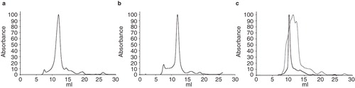 Figure 4. Size exclusion chromatography. Plots from size-exclusion chromatography, (a) PgpB is monodisperse in DDM, (b) YjdL is monodisperse in DDM, and (c) XylH is polydisperse in DDM (frey) and monodisperse in FC14. The void volume of the column was 7.7 ml. All absorbance data were normalized, by setting the maximum absorbance to 100 arbitrary units, using GraphPad Prism (Version 4.00 for Mac OSX, USA).