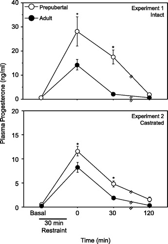 Figure 1 Mean ( ± SEM) plasma progesterone in gonadally intact (upper panel) and castrated (lower panel) prepubertal (28 days old) and adult (77 days old) males either before or after a 30 min restraint stress. Asterisks indicate a significant difference between prepubertal and adult males (P < 0.05).