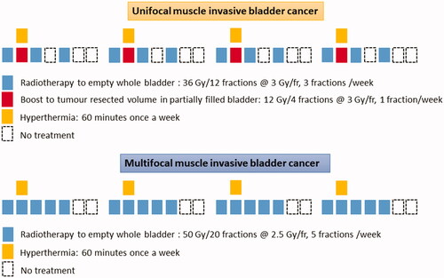 Figure 1. Schematic representation of the radiotherapy and hyperthermia schedules in unifocal and multifocal muscle invasive bladder cancers (Reproduced with permission from Datta et al. [Citation17]).