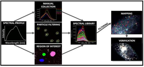Figure 5 Workflow of data analysis and mapping in hyperspectral microscopy.