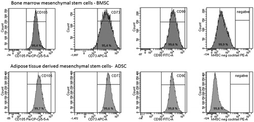 Figure 2. Analysis of positive and negative cell surface antigen expression in expansions of bone-marrow derived mesenchymal stem cells, BMSCs (top row) and adipose tissue derived mesenchymal stem cells, ADSCs (bottom row). Representative plots from one study participant. Percentage (%) of positive cells are shown in each peak for markers CD105, CD73, CD90 and for the cells lacking the negative cocktail containing CD34, CD11b, CD19, CD45, HLA-DR. Gating was performed using isotype control and unstained cells (data not shown).
