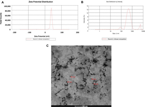 Figure 2 Characterization of chitosan nanoparticles. (A) Zeta potential characterization, (Surface net charge) of CNPs (+37.7 mV), (B) Zeta Sizer characterization of CNPs (441.7 nm), (C) HR-TEM micrograph of CNPs.