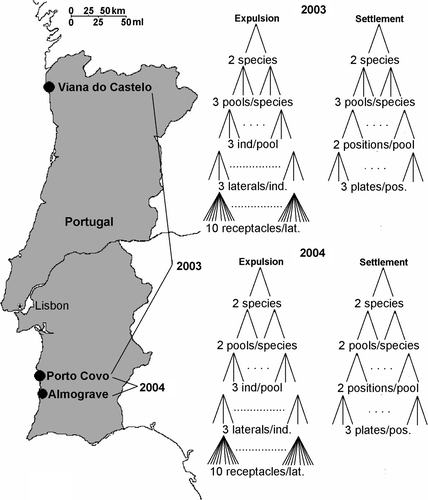 Fig. 1. Map of Portugal showing the location of the study sites and the sampling layout.