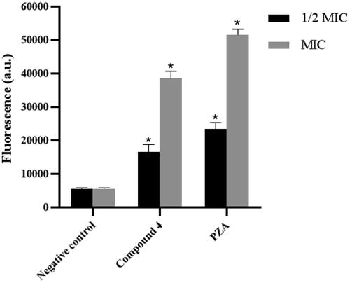 Figure 4. Intracellular ROS production of Mtb that treated with compound 4 and PZA.