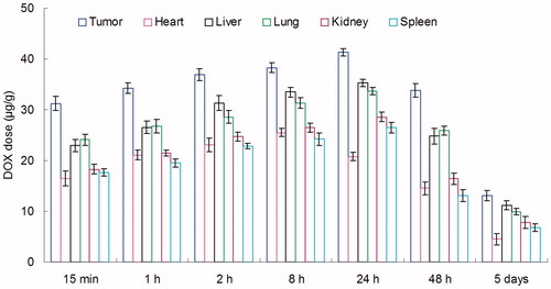 Figure 5. In vivo DOX tissue distribution results of DOX + CUR LPNs.