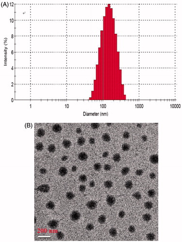 Figure 1. (A) Size distribution of CPT-loaded biotin-F127-PLA NPs and (B) transmission electron micrograph of the targeted CPT NPs.