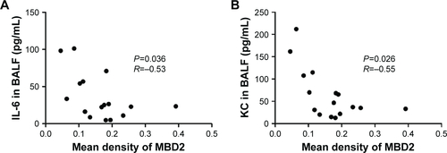 Figure S3 MBD2 protein expression in bronchial epithelium correlated with cytokines in BALF of mice.Notes: MBD2 expression in bronchial epithelium were negatively correlated with and IL-6 (A) and CXCL1 (KC) (B) level in BALF of mice. Correlations were assessed by using Pearson analysis.