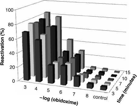 Figure 1.  Reactivation of paraoxon-inhibited AChE by obidoxime. Percent of reactivation vs. concentration of obidoxime and time from reactivation commencement is introduced.