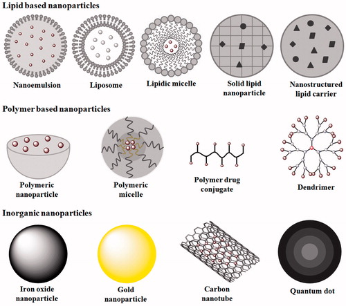 Figure 3. Various nanocarriers used in advance drug targeting.