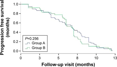 Figure 3 First overall progression-free survival duration in the two groups.
