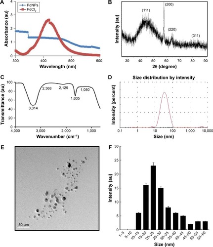 Figure 1 Synthesis and characterization of PdNPs.Notes: (A) Ultraviolet-visible spectra of PdNPs (blue) and PdCl2 (red). (B) X-ray diffraction pattern of PdNPs. (C) Fourier-transform infrared spectra of PdNPs. (D) Size distribution analysis of PdNPs by dynamic light scattering. (E) TEM images of PdNPs, (F) Size distributions based on TEM images of PdNPs, ranging from 10 nm to 60 nm.Abbreviations: PdNPs, palladium nanoparticles; PdCl2, palladium(II) chloride; TEM, transmission electron microscopy.
