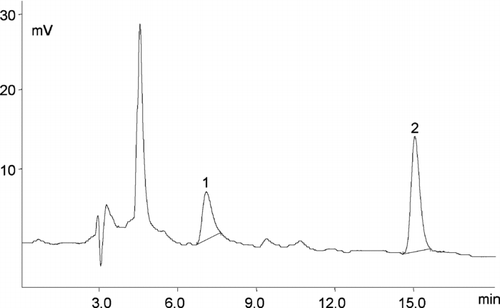 FIGURE 1 Chromatogram of the main folate forms present in wheat flour type 550 1—5-HCO-H4 folate (tR 7.0 min, 0.85 μg/mL), 2—folic acid (tR 15.0 min, 1.13 μg/mL). EC detector sensitivity 1 μA. LC 18 column 5 μm (4.6 mm × 25 cm) and a mobile phase, consisting of 40 mM sodium phosphate dibasic, heptahydrate buffer, and 8% acetonitrile (v/v), pH 5.5. The sample size and the final dilution used for the analyzed vitamin determination varied according to the vitamin content in products.