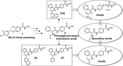 Figure 2 The development of phenylglycine-based HDAC inhibitors.