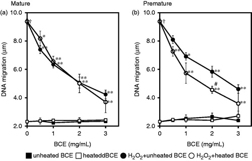 Figure 2. Effects of BCEs on H2O2-induced DNA damage (DNA migration) in human lymphoblastoid TK6 cells. The effects of BCE extracted from mature fruit (a) and premature fruit (b) are separately presented. In this experiment, 0 to 3.0 mg/mL of blackcurrant extract was treated without or with 300 µM of H2O2. Filled square, unheated blackcurrant fruit without H2O2-treatment; Opened square without H2O2-treatment; Filled circle, unheated blackcurrant fruit with H2O2-treatment; Opened circle, heated blackcurrant fruit with H2O2-treatment. Each symbol represents the mean value of three experiments. A dagger (†) indicates p < 0.00005 in the t-test comparing H2O2-treated (300 μM) and untreated cells. A number sign (#) indicate p < 0.05 in the t-test comparing P-BCE and PH-BCE. An asterisk (*) and two asterisks (**) indicate p < 0.05 and p < 0.005, respectively, in the t-test comparing H2O2-treated and H2O2 + BCE-treated cells.