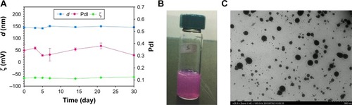 Figure 2 (A) The characterization of mitomycin C-loaded pH-sensitive liposomes by evaluation of d, PdI, ζ and its storage for a 1-month period. (B) Observational view. Mitomycin C contributed to the purple color. (C) Observation of morphology using TEM (original magnification ×25,000).