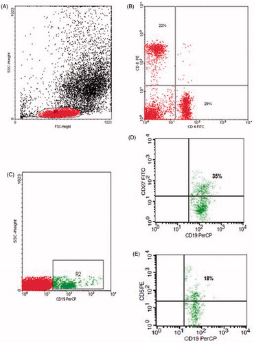Figure 1. Flow cytometric analysis of lymphocyte populations: (A) Forward and side scatter histogram was used to define the lymphocyte population (R1). (B) The expression of B and T cell markers were assessed in the lymphocyte population as CD4+ and CD8+ compared with the negative isotype control (not shown). (C) CD19+ cells were gated. (D, E) The expression of CD5 and CD27 in B cells was detected.