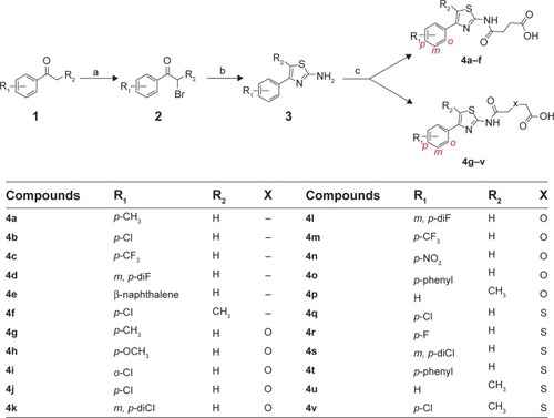 Figure 1 Synthesis of phenylthiazole acids.