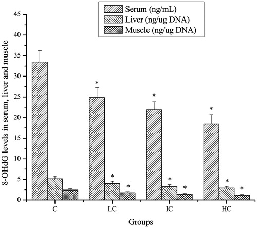 Figure 6. Effects of CSP on 8-OHdG levels in serum, liver and muscle of mice. Data are expressed as mean ± SD. CSP: polysaccharides from Cordyceps sinensis; C: control; LC: low-dose CSP treated (100 mg/kg); IC: intermediate-dose CSP treated (200 mg/kg); HC: high-dose CSP treated (400 mg/kg). *, p < 0.05 compared with C group.
