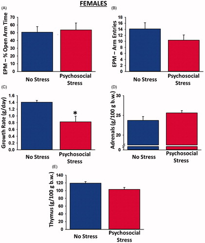 Figure 2. Physiological and behavioral effects of psychosocial stress in female rats. Psychosocially stressed females spent a similar amount of time in the open arms of the elevated plus maze as control rats (A) and made a similar number of overall arm entries in the maze (B), despite exhibiting significantly reduced growth rates (C) relative to controls. There were no significant differences between the adrenal (D) or thymus (E) gland weights of stressed and non-stressed female rats. Sample sizes were 10–14 rats per group. Data are presented as means ± SEM. *p < 0.05 versus no stress.
