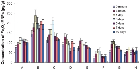 Figure 3 The concentrations of Fe3O4 MNPs in tissues of mice (n = 6). A heart, B liver, C spleen, D lungs, E kidneys, F brain, G stomach, and H small intestine.