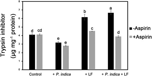 Figure 5. Changes in P. indica- and larvae-induced trypsin inhibitor expression in aspirin-treated plants. The 4-leaf-stage plants were pretreated with aspirin (150 μM) for 12 h before larval feeding. Leaf samples were collected for analysis of trypsin inhibitor activity after 48 h of larvae-feeding treatment. Data are shown as the mean ± SE of three independent experiments. The different letters indicate statistically significant differences among group samples (P < 0.05). Control, non-P. indica inoculated and nonlarvae-feeding treatment. LF, rice leaffolder larvae.