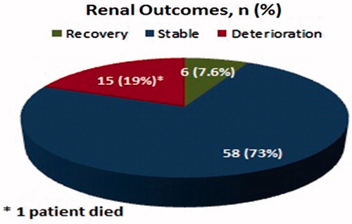 Figure 2. Renal outcomes, n (%).