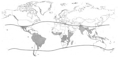 Fig. 1 Dark-gray shading indicates countries/areas at risk of DENV transmission, 2008. The contour lines indicate the potential geographical limits of the northern and southern hemispheres for year-round survival of Ae. aegypti, the principal mosquito vector of DENVs. Reprinted by permission from WHO, Dengue: guidelines for diagnosis, treatment, prevention and control – New edition (2009), © 2009 (Citation6).