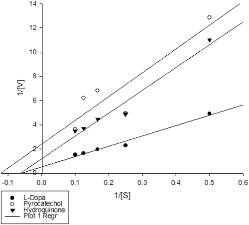 Figure 2. Double reciprocal plot to show the kinetic parameters of the purified PO from E. kuehniella by using L-DOPA, pyrocatechol and hydroquinone as substrates. (1/Vmax = intercept on the 1/V0 ordinate, −1/Km = intercept on the negative side of the 1/[S] abscissa).