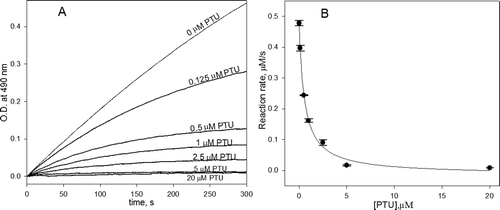 Figure 2.  (A) The kinetic curves of the oxidation of 3-(3,4-dihydroxyphenyl)-l-alanine (DOPA) catalyzed by phenoloxidase (PO) in the presence of the different concentrations of phenylthiourea (PTU) and (B) the dependence of the reaction rate from the initial linear part of kinetics on PTU concentration. The conditions were as follows: 1 mM DOPA, 20 U/mL PO and various concentration of PTU (0–20 µM) in 50 mM phosphate buffered saline (PBS) pH 7.4.