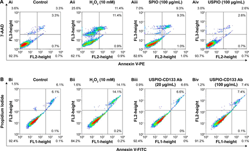 Figure S4 Cell apoptosis analysis of HT29 cells with different treatments by flow cytometry.Notes: (A) Apoptosis analysis by detecting with Annexin V (FL2)/7-AAD (FL3) in HT29 cells without treatment (Ai); treated with H2O2 (Aii); labeled with 100 μg/mL of SPIO (Aiii); labeled with 100 μg/mL of USPIO (Aiv). (B) Apoptosis analysis by detecting with Annexin V (FL1)/PI (FL2) in HT29 cells without treatment (Bi); treated with H2O2 (Bii); labeled with 20 μg/mL of USPIO-CD133 Ab (Biii); labeled with 100 μg/mL of USPIO-CD133 Ab (Biv).Abbreviations: 7-AAD, 7-aminoactinomycin D; FITC, fluorescein isothiocyanate; FL, fluorescence; PE, phycoerythrin; PI, propidium iodide; SPIO, superparamagnetic iron oxide; USPIO, ultrasmall SPIO; USPIO-CD133 Ab, USPIO conjugated with anti-CD133 antibodies.