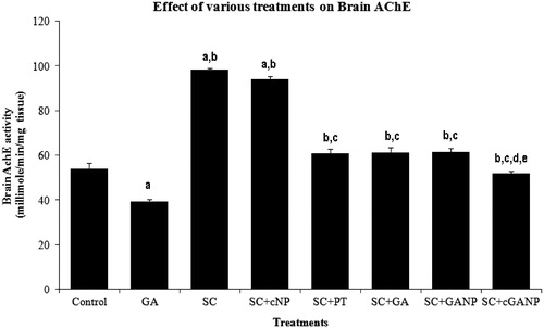 Figure 4. Effect of various treatments on brain acetylcholine esterase. F (7, 40) = 150.060; p < 0.0001; n = 6 in each group. Values are expressed as mean ± SEM. Data was analyzed by one-way ANOVA followed by Tukey’s post hoc test. a = (p < 0.001) significant difference from saline-treated control group. b = (p < 0.001) significant difference from GA-treated group. c = (p < 0.001) significant difference from SC-treated group. d = (p < 0.01) significant difference from SC + GA–treated group. e = (p < 0.01) significant difference from SC + GANP–treated group.