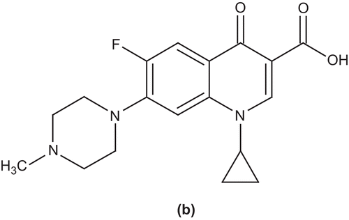Figure 3.  Ciprofloxacin derivative (b).