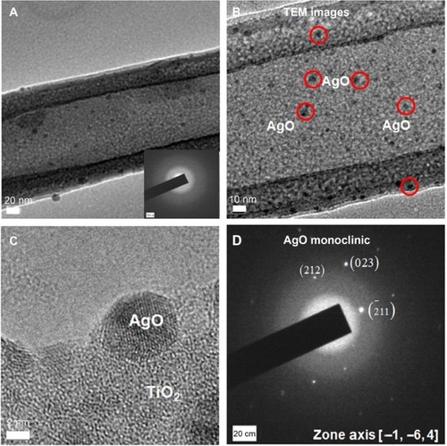 Figure 3 TEM images of TiNT-Ag60s.Notes: (A) Morphology of AgO-deposited TiNT, (B) enlargement of black AgO nanoparticles on TiNT (red circles indicate some black AgO particles). (C) High resolution image of AgO nanoparticles and (D) diffraction pattern of AgO. Some 5–10 nm black particles were found inside the TiNT. Based on diffraction pattern, the crystal structures of black nanoparticles and substrate were monoclinic AgO and amorphous TiO2, respectively.Abbreviations: TiNT, TiO2 nanotubes; TiNT-Ag60s, TiNT treated with Ag electroplating time of 60 seconds; TEM, transmission electron microscope.