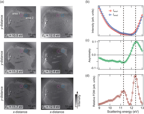 Figure 2. (a) Photoemission microscopy images of poly-Fe scattered by the Au/Ir(001) crystal, where only images at selected scattering energies are shown. (b) IV curves, where Iarea1 and Iarea2 are obtained by the summation of the intensity within the area 1 and area 2 shown in (a), respectively. The asymmetry (c) and the relative FOM (d) obtained by the formulas (7) and (8) are displayed.
