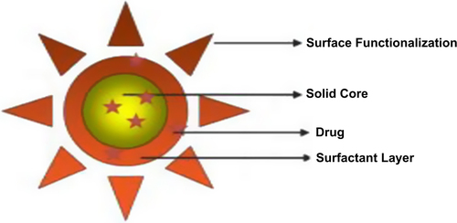 Figure 11. Schematics of Functionalized Solid Lipid Nanoparticles (Ref 221).