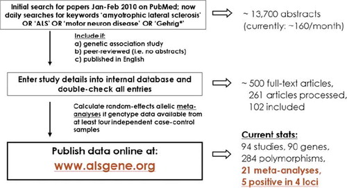 Figure 6. Summary of ALSGene methodology. Flowchart of data selection, processing and analysis strategies applied for ALSGene. Polymorphisms with non-overlapping data from at least four data sets are subjected to meta-analyses. Significant meta-analysis results are highlighted in a designated section on the ALSGene homepage.