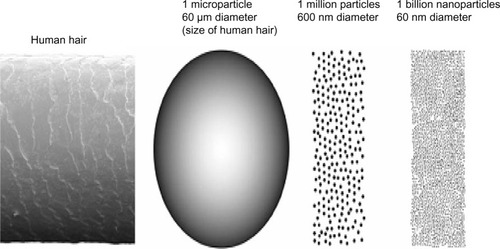 Figure 1 Comparative sizes for (from left to right) human hair (60 μm diameter), spherical microparticle of the same diameter, 1 million particles 600 nm diameter, and 1 billion nanoparticles of 60 nm diameter.The article/figure is published under Creative Commons License 2.0 CC-BY.38.