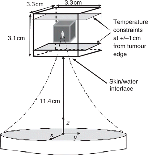 Figure 1. Geometry of the treatment domain. The origin is located in the centre of the transducer's face. The geometric focus of the transducer is at 13 cm and the water filled distance from the transducer to the skin is 11.4 cm (11.0 for some simulations, as measured from the centre of the face of the transducer). A small (1.1 cm3) and medium (2.6 cm3) volume tumour were studied with this geometry. A deeper medium and a larger (4.5 cm3) tumour were studied with a slightly modified geometry using an expanded simulation region.
