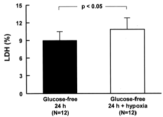 Figure 2. LDH release of MDCK cells deprived of glucose for 24 h and submitted to hypoxia. The cells were washed with PBS and glucose-free culture media was added. Hypoxia was performed and the bottles were immediately sealed to wait 24 h in the incubator. Data are mean ± SD of culture bottle compared to cells deprived glucose only; p<0.05.