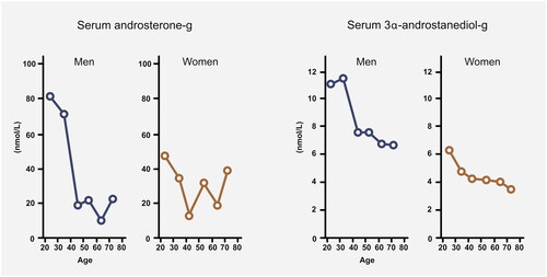 Figure 4. Decline of conjugated dihydrotestosterone metabolites in men and women (Redrawn figure based on results by Labrie et al.Citation62).