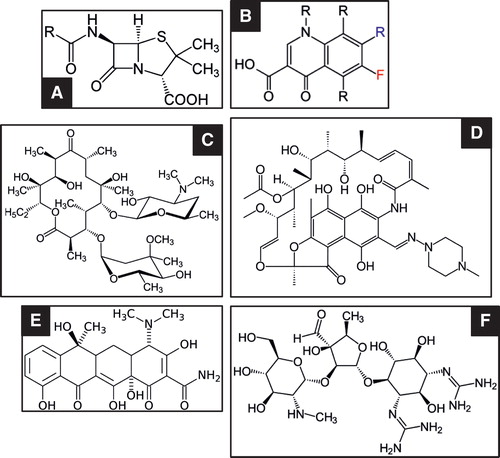 Figure 1. Examples of the small molecule structure of six major antibiotic classes. A: Penicillin (core); B: Fluoroquinolone (core); C: Macrolide (erythromycin); D: Rifampicin; E: Tetracycline; F: Aminoglycoside (streptomycin).