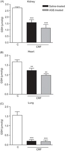 Figure 3. Glutathione (GSH) levels in (A) kidney, (B) heart, and (C) lung tissues of sham-operated control, and saline- or aqueous garlic extract (AGE)-treated chronic renal failure (CRF) groups.Notes: *p < 0.01, **p < 0.01; compared to control group.+p < 0.05, compared to saline-treated CRF group.