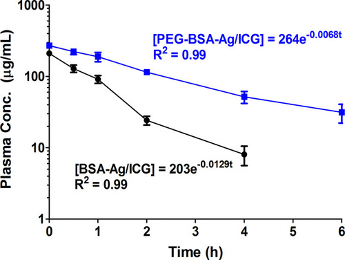 Figure 6 Pharmacokinetic profiles of PEG-BSA-AgNP/ICG. ICR mice (N = 5) were administered with either BSA-Ag/ICG or PEG-BSA-Ag/ICG via tail vein injection at doses of 12 mg/kg as ICG. After then, blood was collected at pre-determined time points (0, 0.5, 1, 2, 4, and 6 h post-administration), and the plasma concentrations of ICG were quantified by measurement of the absorbance at 790 nm.