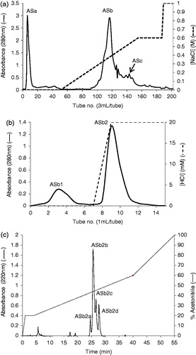 Figure 1. (a) Toyopearl Super-Q chromatography of acetone extract of AS (15 mg). The column (29 × 1.6 cm) was equilibrated with 0.05M Tris-HCl buffer, pH 8.0 and a linear NaCl gradient (0–0.6 M) in 0.05 M Tris-HCl buffer was used for elution. Flow rate was 0.6 mL/min. ASa: tubes 5–12, ASb: tubes 110–135 and ASc: tubes 143–155. Approximately 95% inhibition of trypsin was observed for fraction ASb and less than 10% was observed for ASa and ASc. (b) Affinity chromatography of fraction ASb using a trypsin-agarose column (1 mL). The column was equilibrated with 10 mM acetic acid and 20 mM HCl was used for elution. Flow rate was 0.5 mL/min. ASb1: tubes 2–5, ASb2: tubes 8–11. (c) RP-HPLC of fraction ASb2 (500 µg) on a Grace Vydac C-18 RP column. The column was equilibrated with 0.1% (v/v) TFA/water. Elution was performed with an acetonitrile gradient at a flow rate of 1 mL/min.